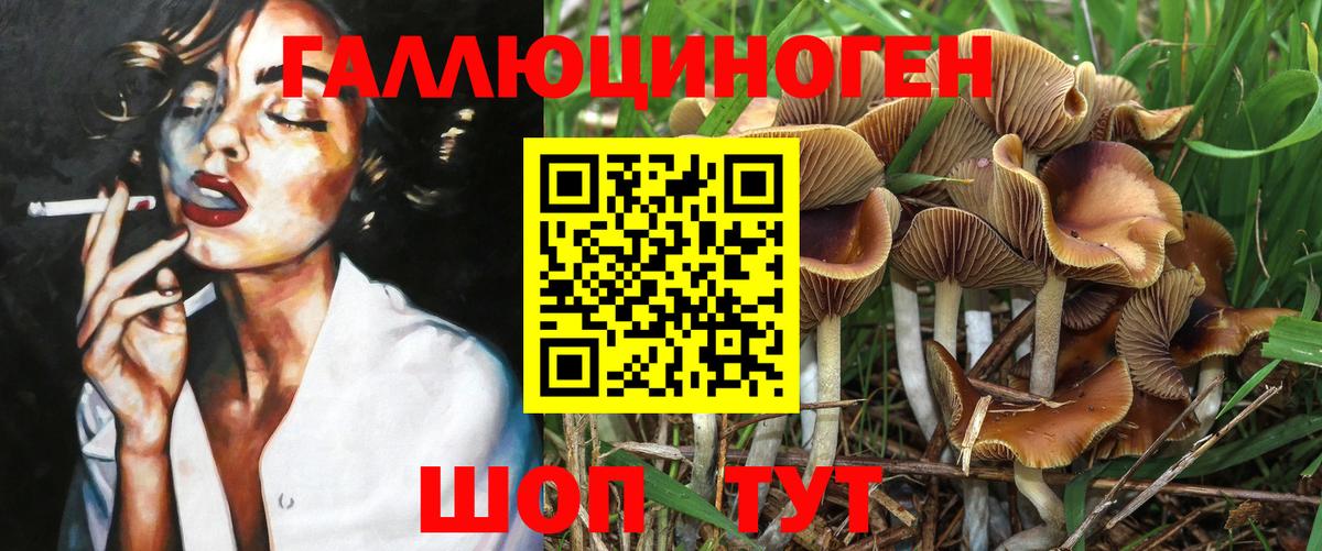 Псилоцибиновые грибы прущие грибы  Псилоцибиновые грибы мухоморы  где продают наркотики  Стрежевой  Вход с VPN 