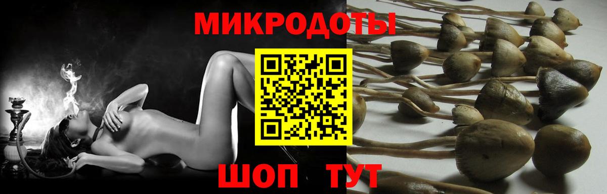 Галлюциногенные грибы мухоморы Стрежевой